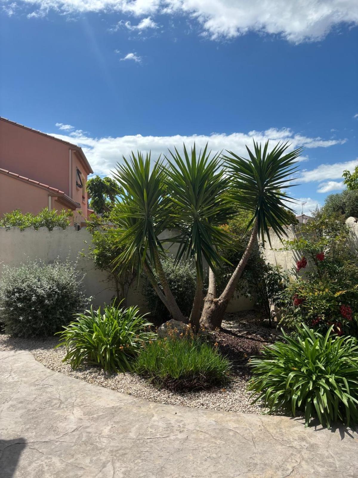 La Maison Brennus , Piscine, 15 Min Des Plages Beziers Bagian luar foto